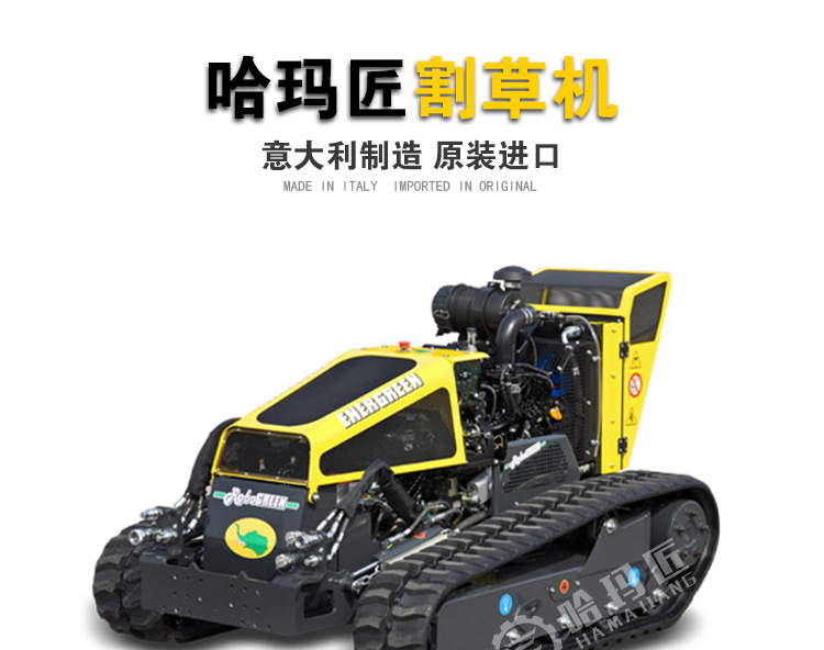 意大利RoboGreen堤坝割草机