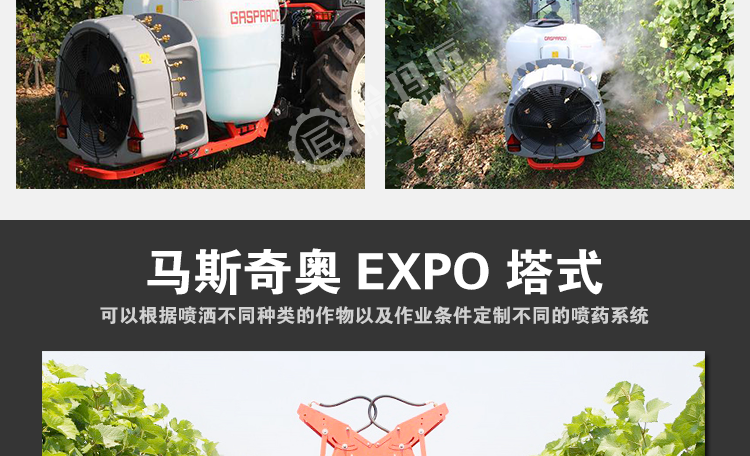 马斯奇奥EXPO型弥雾机