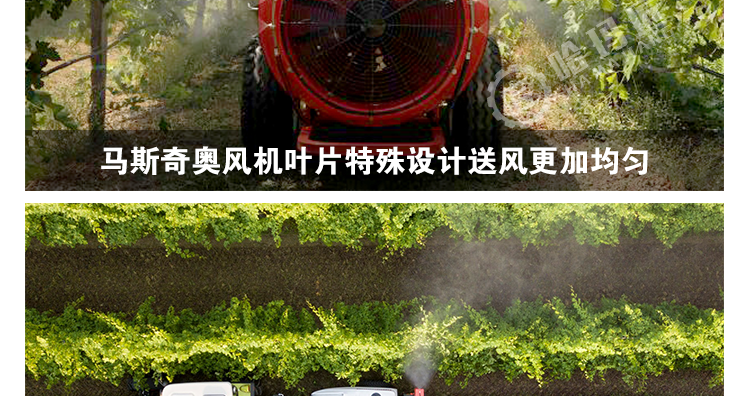 马斯奇奥FUTURA牵引式弥雾机